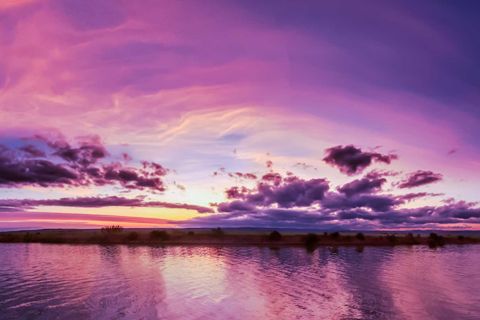 Caravans and Camping at Wacky Woods